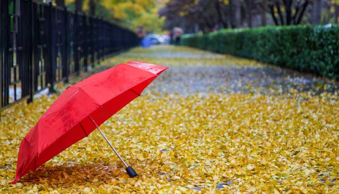 形容秋雨绵绵,天气转凉的诗词  形容秋雨绵绵的诗句有哪些