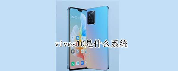 vivos10是什么系统