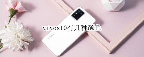 vivos10有几种颜色