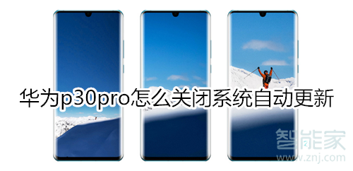 华为p30pro怎么关闭系统自动更新