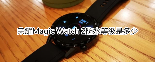 荣耀Magic Watch 2防水等级是多少