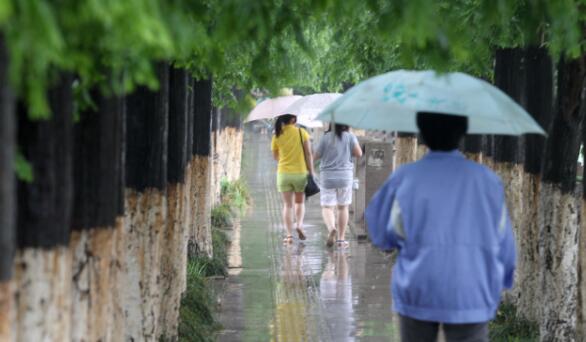 梅雨季注意事项 梅雨天气要注意些什么