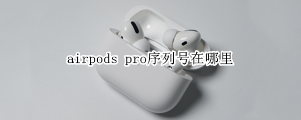 airpods pro序列号在哪里