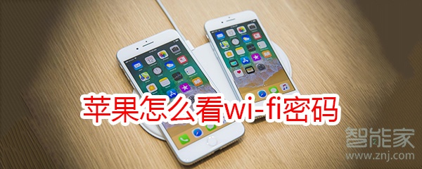 苹果怎么看wi-fi密码