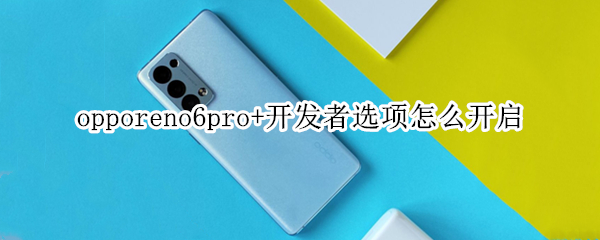 opporeno6pro+开发者选项怎么开启