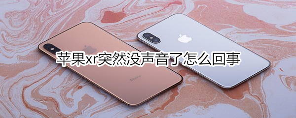 苹果xr突然没声音了怎么回事