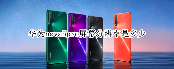 华为nova5pro屏幕分辨率是多少