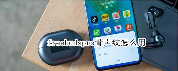 freebudspro骨声纹怎么用