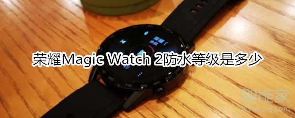 荣耀Magic Watch 2防水等级是多少