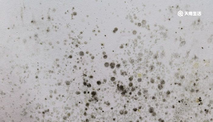 碗柜有霉味怎么消除 厨房碗柜发霉怎么处理