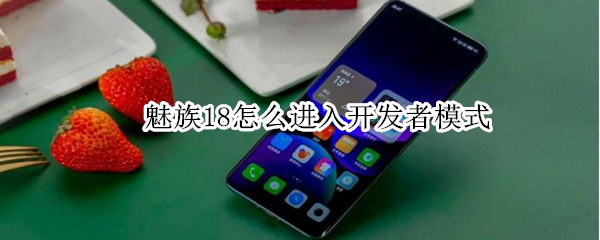 魅族18怎么进入开发者模式