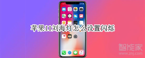 苹果11刘海灯怎么设置闪烁