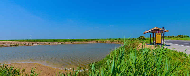 黄河入海口在哪里 黄河入海口在哪个城市