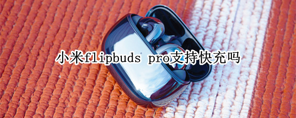 小米flipbuds pro支持快充吗