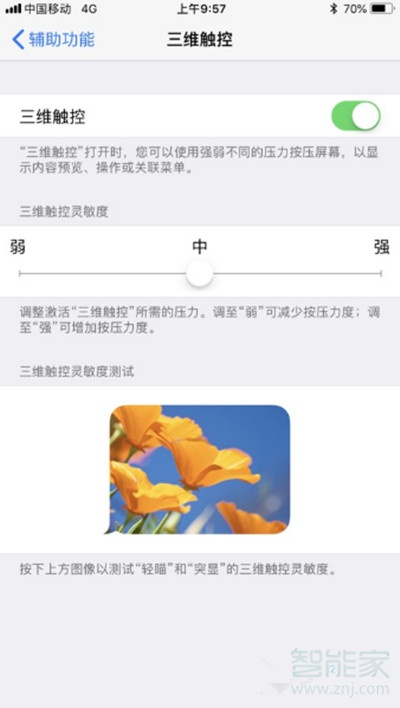 苹果8有3dtouch功能吗