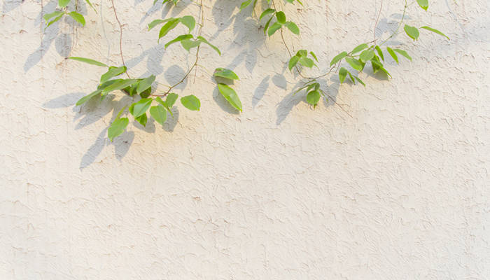 颤巍巍光影零乱的意思 颤巍巍光影零乱出自哪里