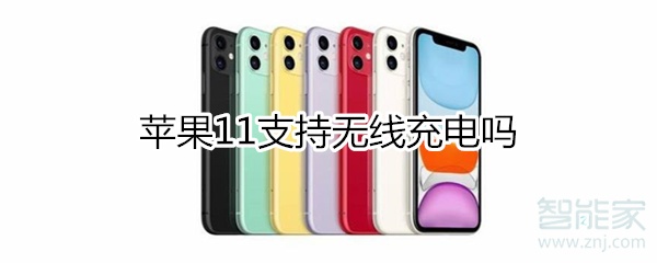 苹果11支持无线充电吗