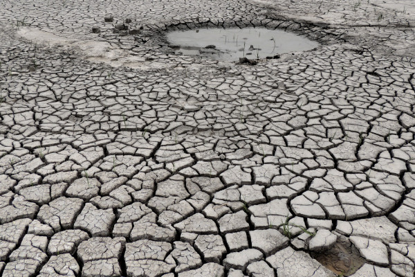 何不食肉糜典故  何不食肉糜讽刺了什么?