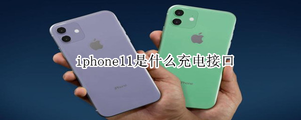 iphone11什么接口