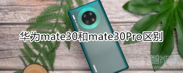 mate30和mate30Pro区别