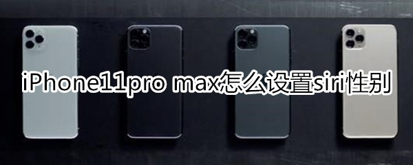 iPhone11pro max怎么设置siri性别