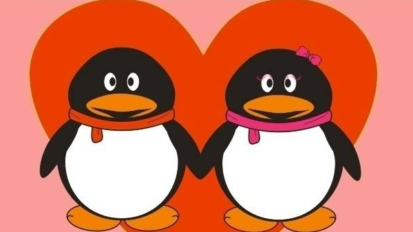 qq打卡为什么打了显示不出来