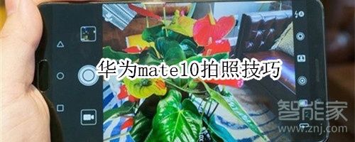 华为mate10拍照技巧