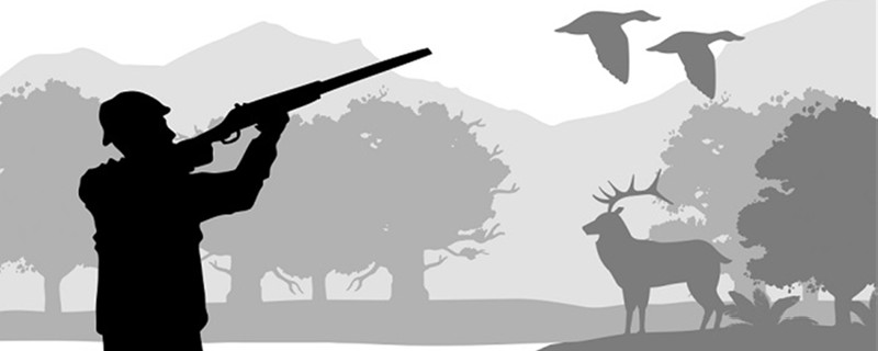 牧羊人和野山羊告诉了我们什么道理 牧羊人和野山羊的主要内容