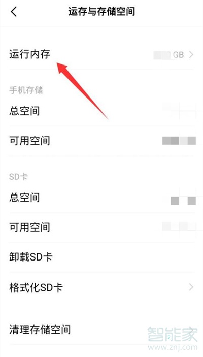 vivoy52s运行内存怎么看