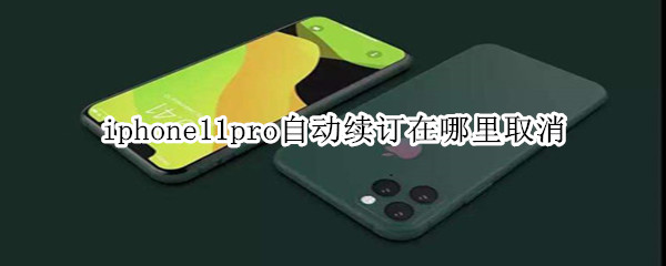 iphone11pro自动续订在哪里取消