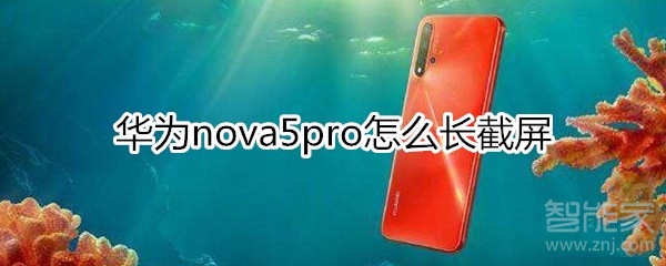 nova5pro怎么长截屏