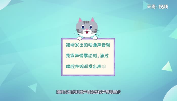 猫咪为什么会发出咕噜咕噜的声音 猫咪会发出咕噜咕噜的声音是为什么