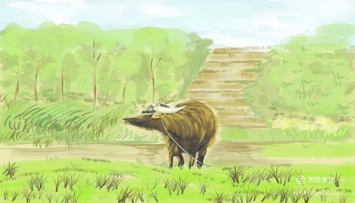 蜀中有杜处士好书画所宝以百数翻译 蜀中有杜处士好书画所宝以百数的翻译