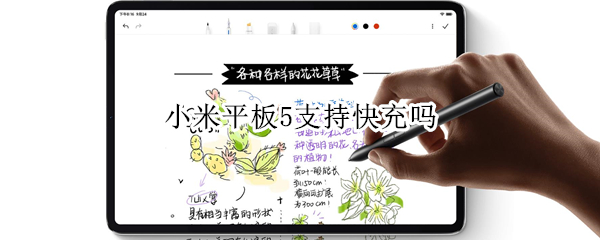 小米平板5支持快充吗