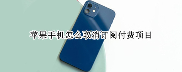 苹果手机怎么取消订阅付费项目