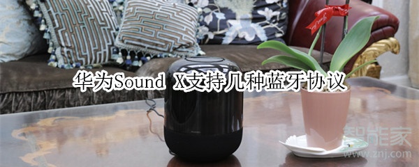 华为Sound X支持几种蓝牙协议