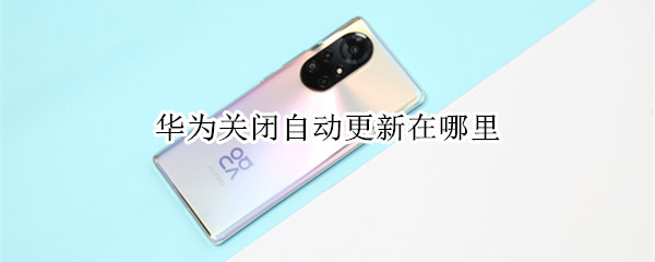 华为关闭自动更新在哪里