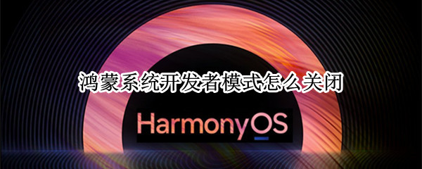 鸿蒙系统开发者模式怎么关闭
