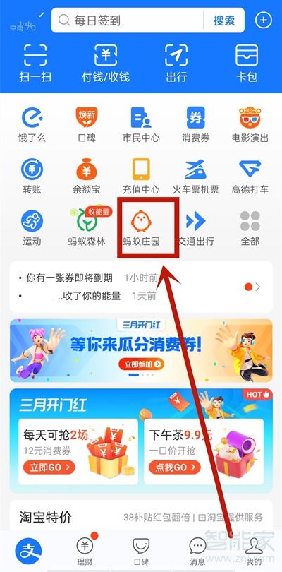 蚂蚁庄园如何设置自动投食