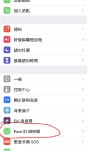 苹果x下载软件面容识别在哪设置