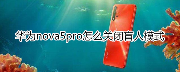 华为nova5pro怎么关闭盲人模式