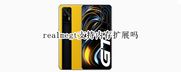 realmegt支持内存扩展吗