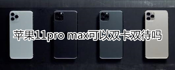 苹果11pro max可以双卡双待吗