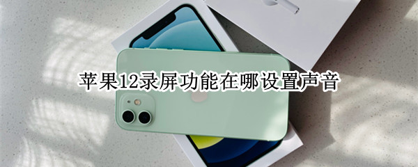 苹果12录屏功能在哪设置声音