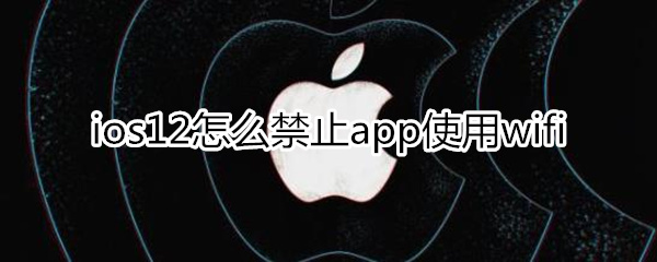 ios12禁止app使用wifi