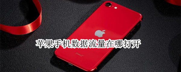苹果手机数据流量在哪打开
