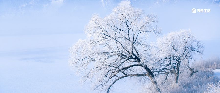 鹅毛大雪描写的是怎么的景象 鹅毛大雪是什么样的场景