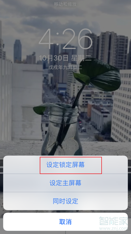 iphonexr动态锁屏怎么设置