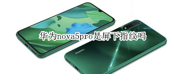 华为nova5pro是屏下指纹吗