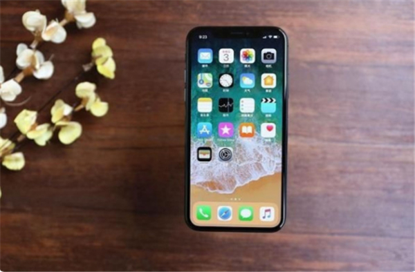 苹果x没有超广角吗